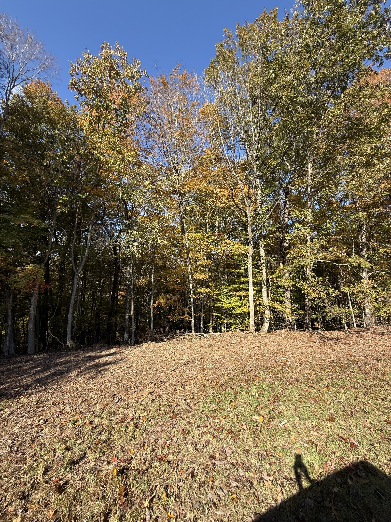 a backyard of a house