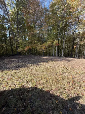 a view of a yard with trees