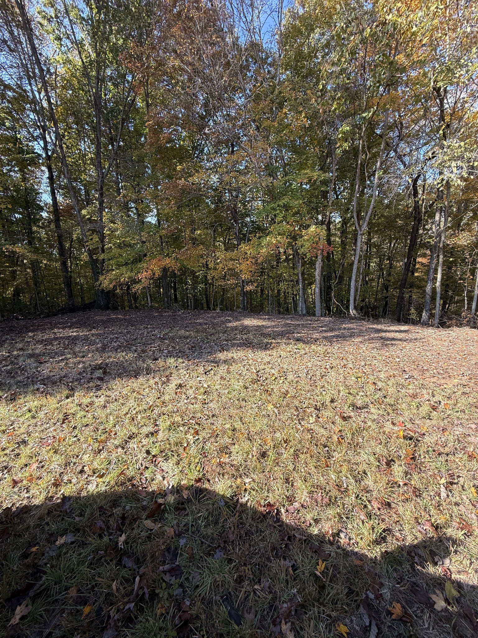 0 Collins Road Allons, TN 38541 - Photo 2 of 9 a view of a yard with trees