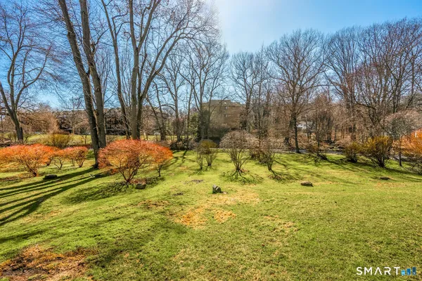 a view of yard with trees