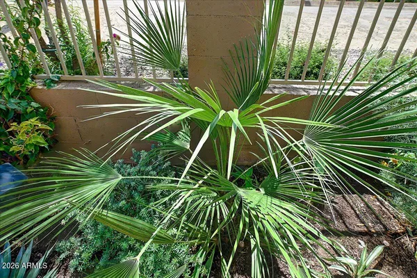 $579,000 | 1317 East Fremont Road, Phoenix, AZ 85042