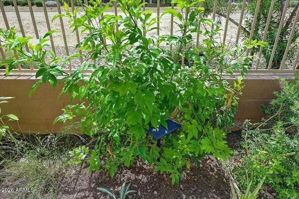 $579,000 | 1317 East Fremont Road, Phoenix, AZ 85042