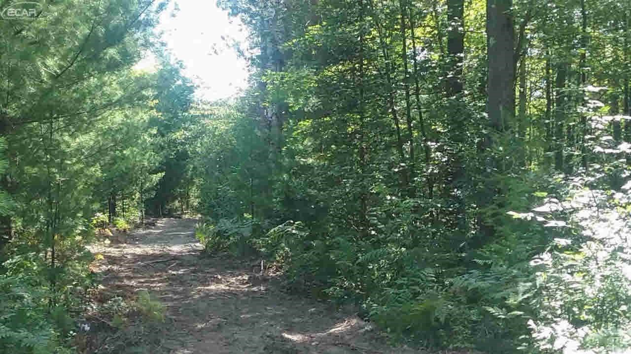 0 South National City Road Turner, MI 48765 - Photo 3 of 11