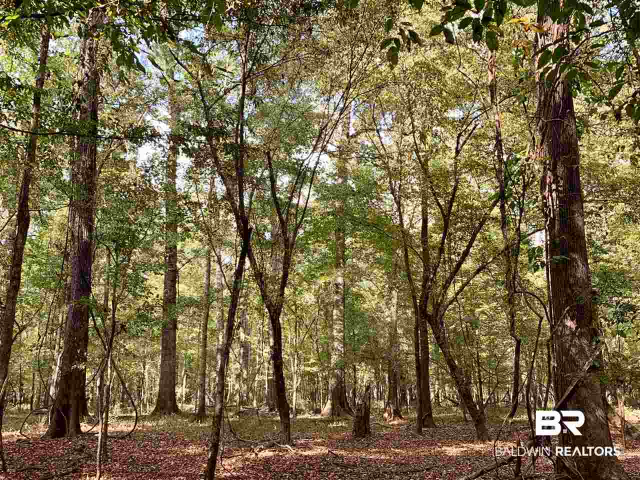 0 Holly Creek Road Stockton, AL 36579 - Photo 22 of 50