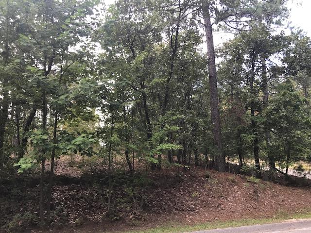 109 Pittman Road West End, NC 27376 - Photo 19 of 20 IMG_5376