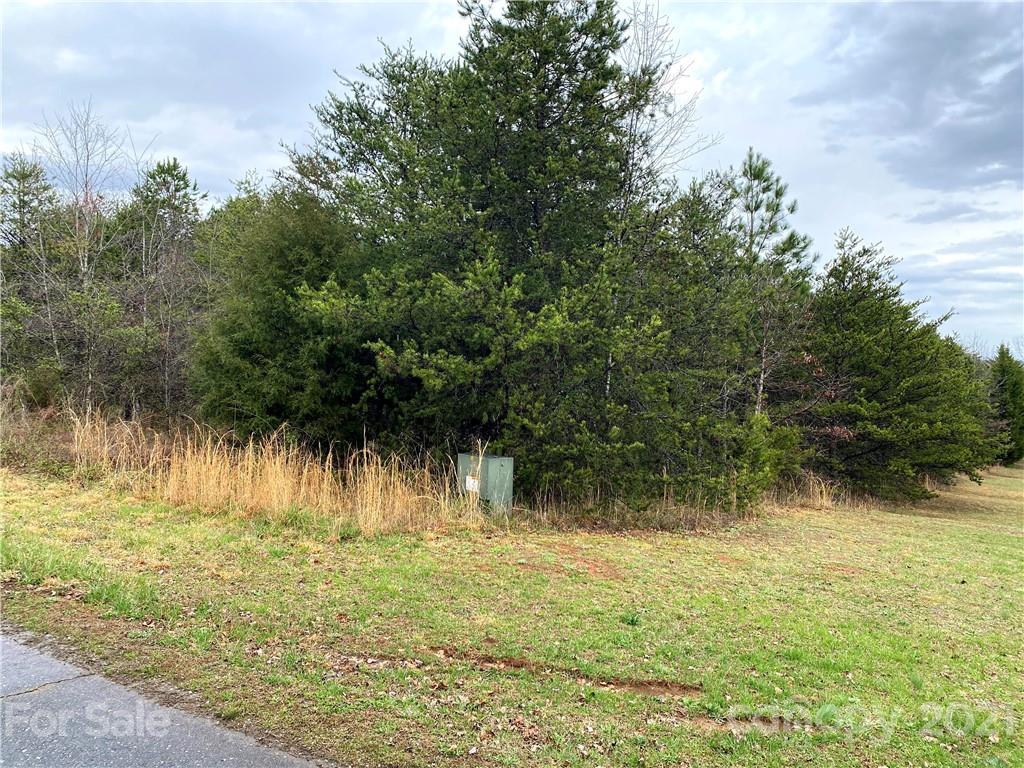 0 Emerald Parkway, Unit 35 Rutherfordton, NC 28139 - Photo 3 of 9 a view of lake view
