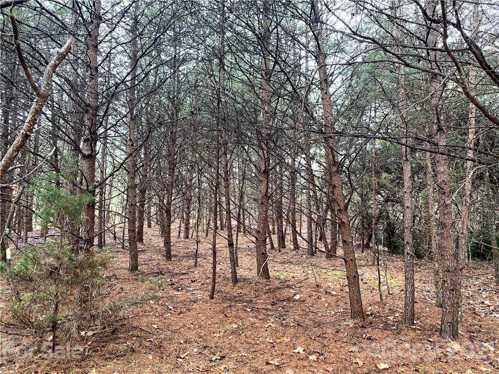 0 Emerald Parkway, Unit 35 Rutherfordton, NC 28139 - Photo 6 of 9 a view of outdoor space with trees