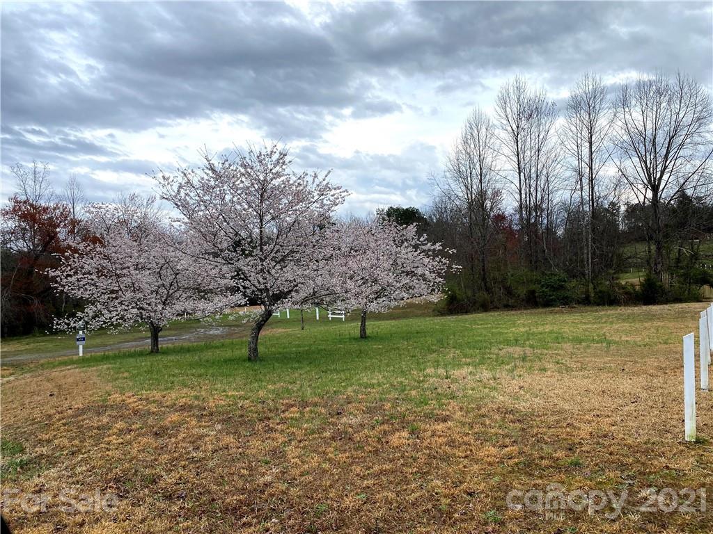 0 Emerald Parkway, Unit 35 Rutherfordton, NC 28139 - Photo 9 of 9 a view of a garden with a tree