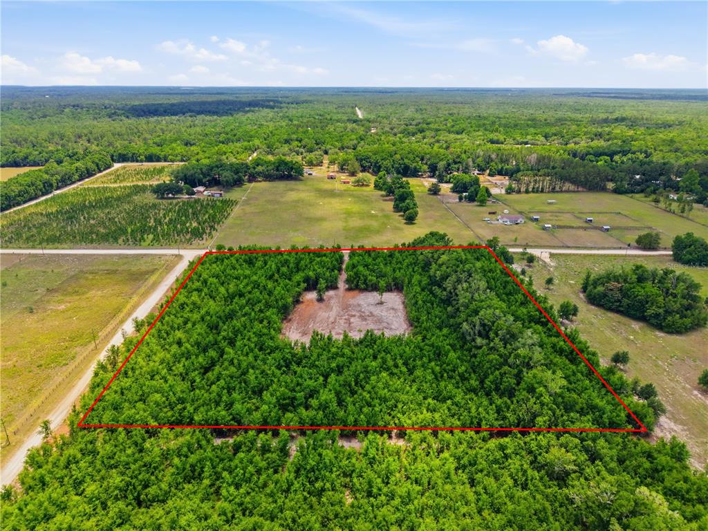 Southwest 188th Street Archer, FL 32618 - Photo 3 of 20 a view of a lake with a yard