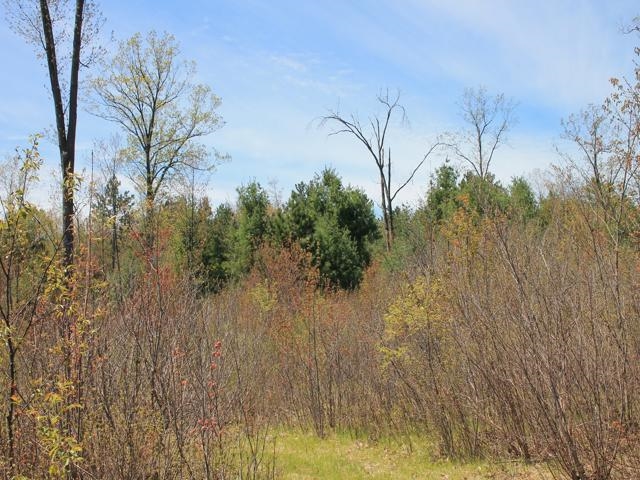 19081 Erickson Drive Dunbar, WI 54119 - Photo 35 of 87
