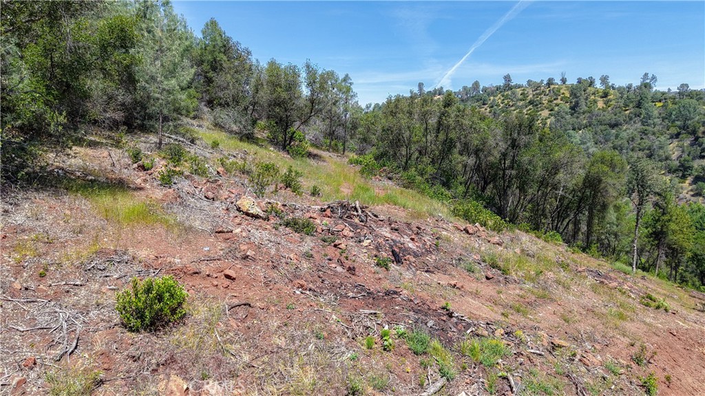 10 Miller Road Mariposa, CA 95338 - Photo 27 of 34 a view of a yard with a tree