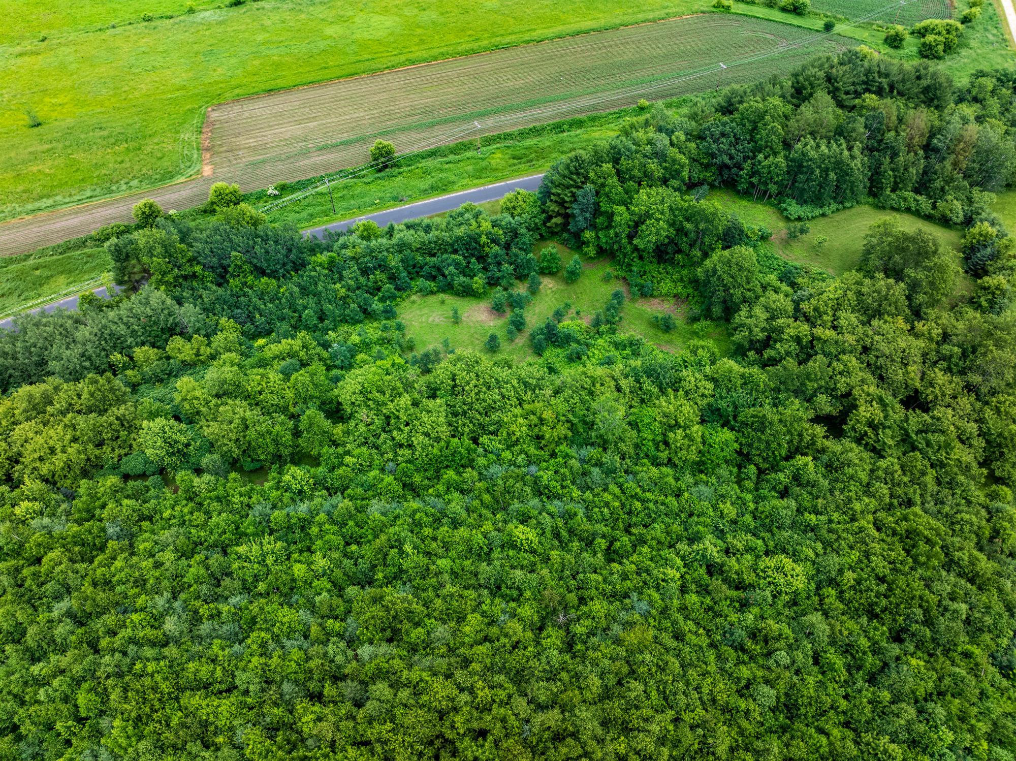 W25757 Bear Coulee Road Trempealeau, WI 54661 - Photo 56 of 91