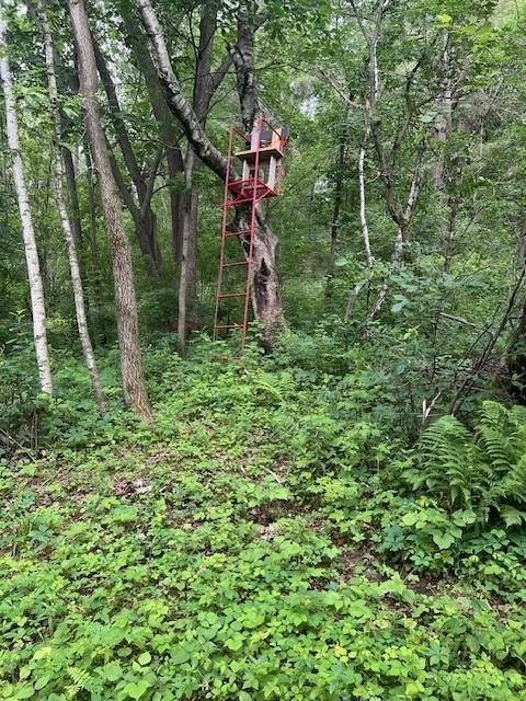 W25757 Bear Coulee Road Trempealeau, WI 54661 - Photo 58 of 91