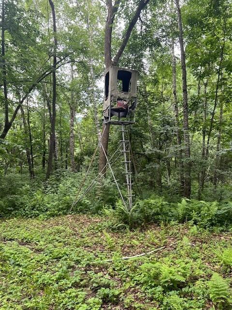 W25757 Bear Coulee Road Trempealeau, WI 54661 - Photo 59 of 91