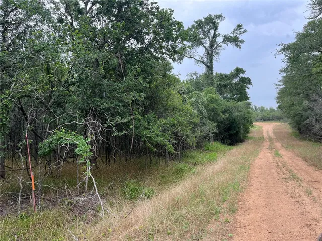 a view of a lake with a tree