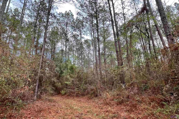 $699,000 | 3 Hinton Road, Gloster, MS 39638