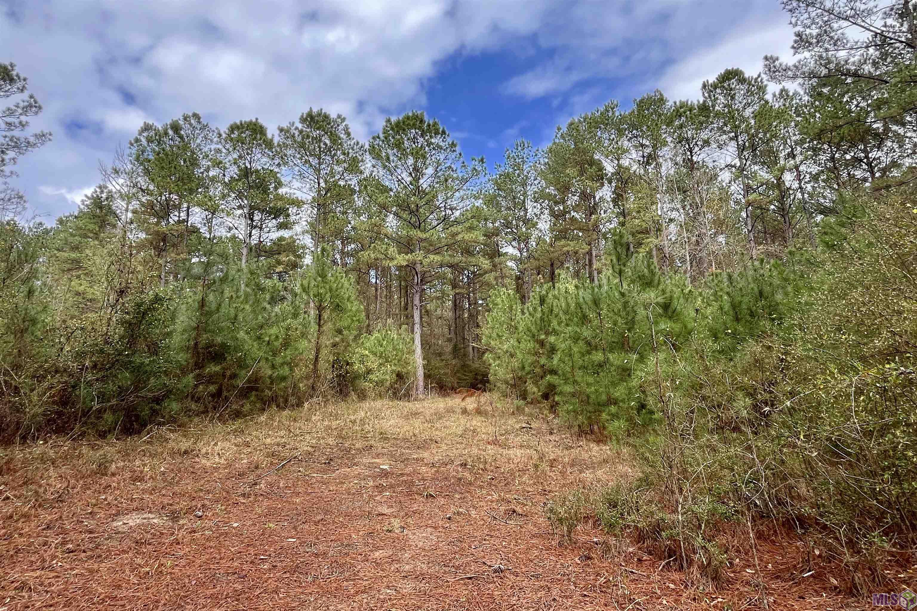 3 Hinton Road Gloster, MS 39638 - Photo 4 of 7