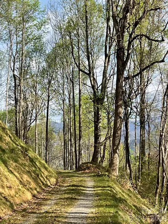 $299,000 | 1414 Easy Wind Drive, Unit 56, Swannanoa, NC 28778