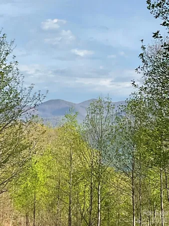 $299,000 | 1414 Easy Wind Drive, Unit 56, Swannanoa, NC 28778