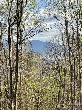 $299,000 | 1414 Easy Wind Drive, Unit 56, Swannanoa, NC 28778