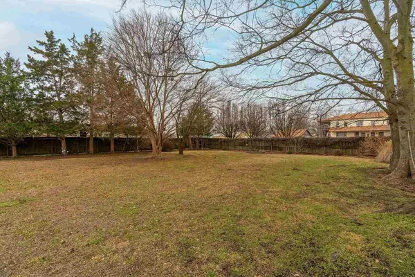 a view of a yard with a tree