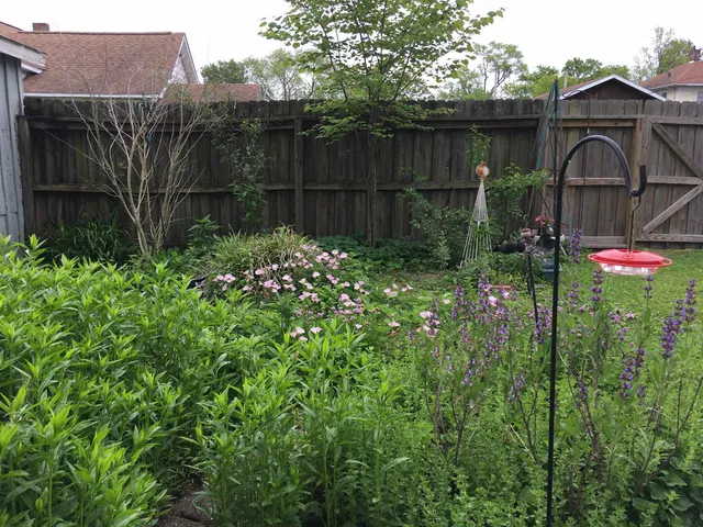 $229,000 | 204 South 17th Street, Murphysboro, IL 62966