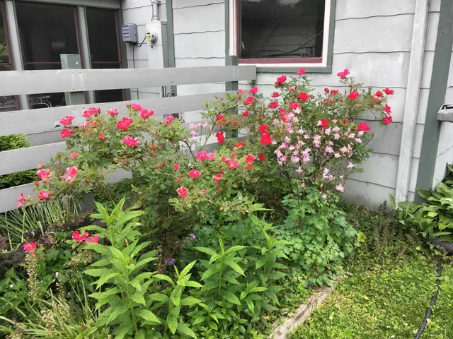 $229,000 | 204 South 17th Street, Murphysboro, IL 62966