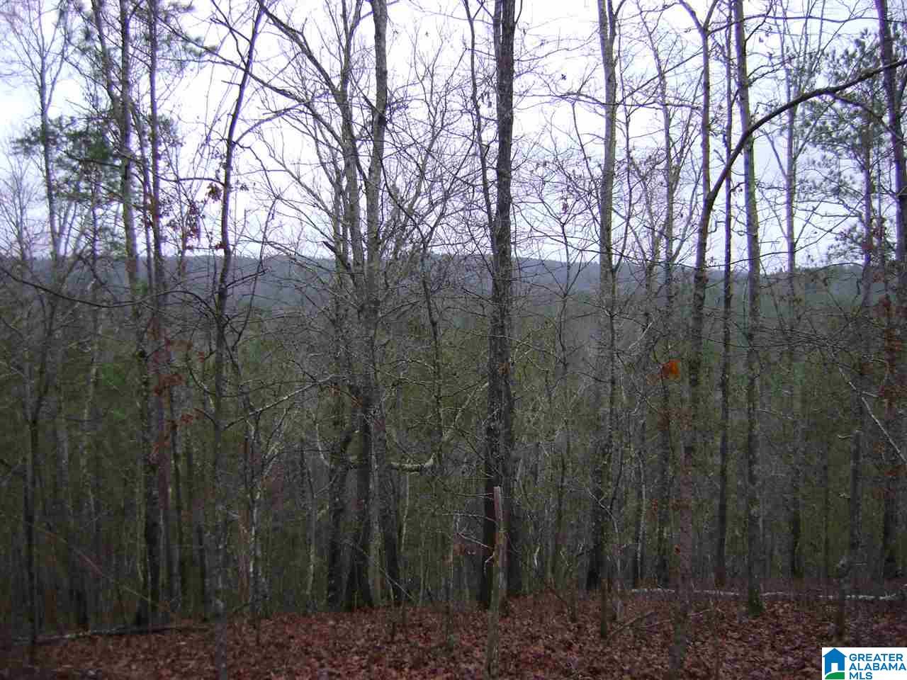 47586 Highway 25 Sterrett, AL 35147 - Photo 9 of 20