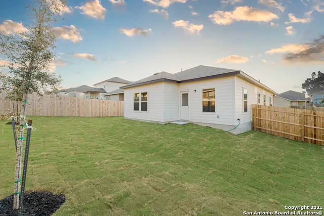 a view of a backyard with plants and large tree