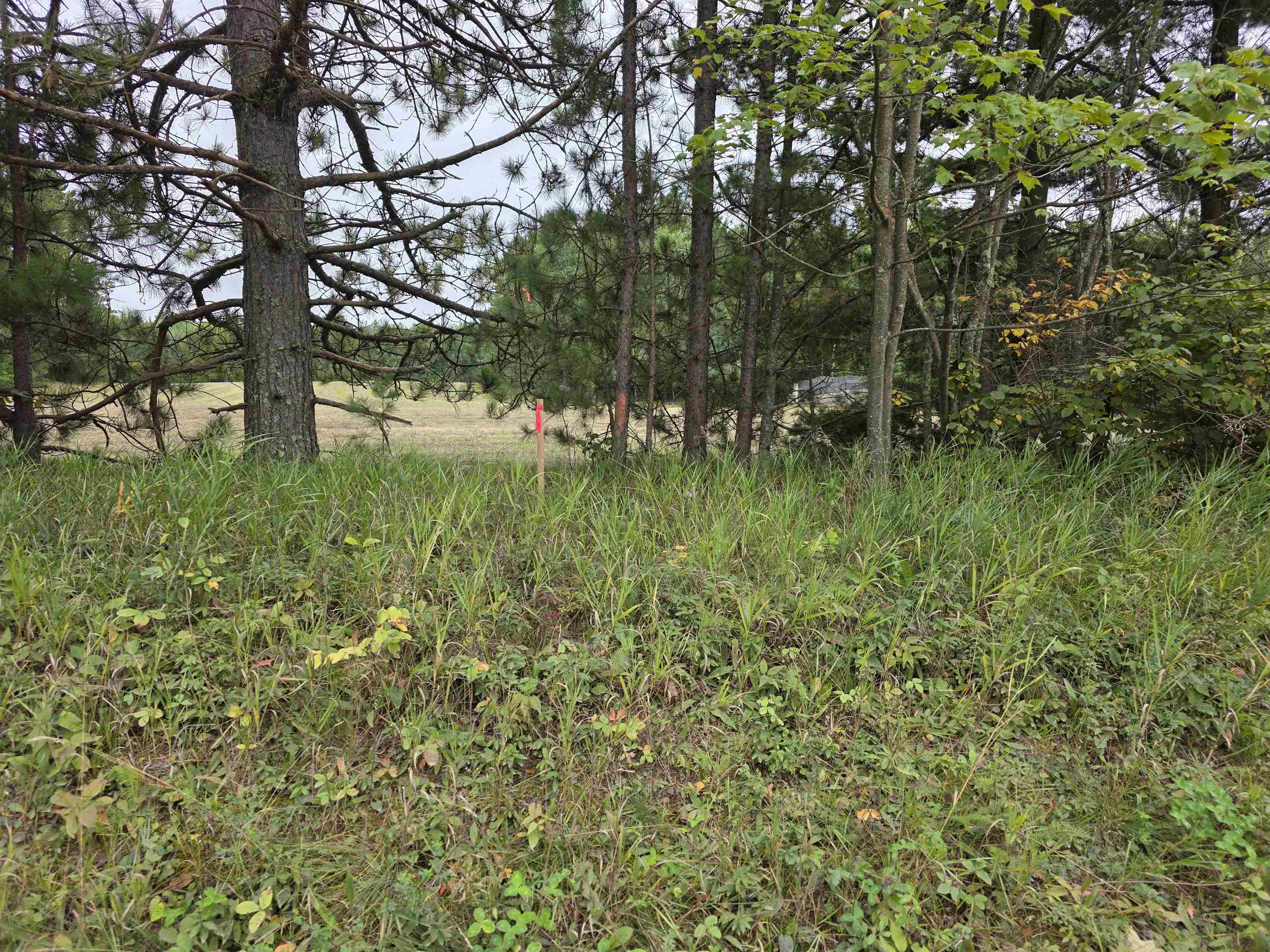 Xxx Pioneer Road Barnum, MN 55707 - Photo 3 of 8