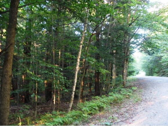 Lot 3 Norrie Davies Road Cavendish, VT 05142 - Photo 1 of 4