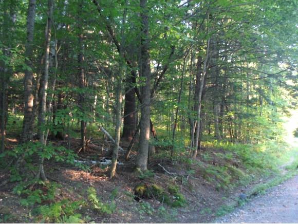 Lot 3 Norrie Davies Road Cavendish, VT 05142 - Photo 2 of 4