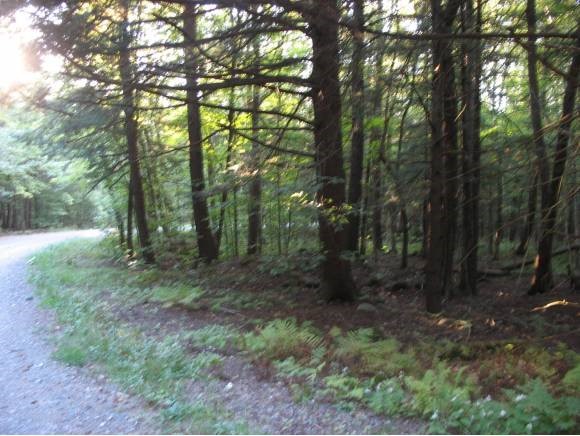 Lot 3 Norrie Davies Road Cavendish, VT 05142 - Photo 3 of 4