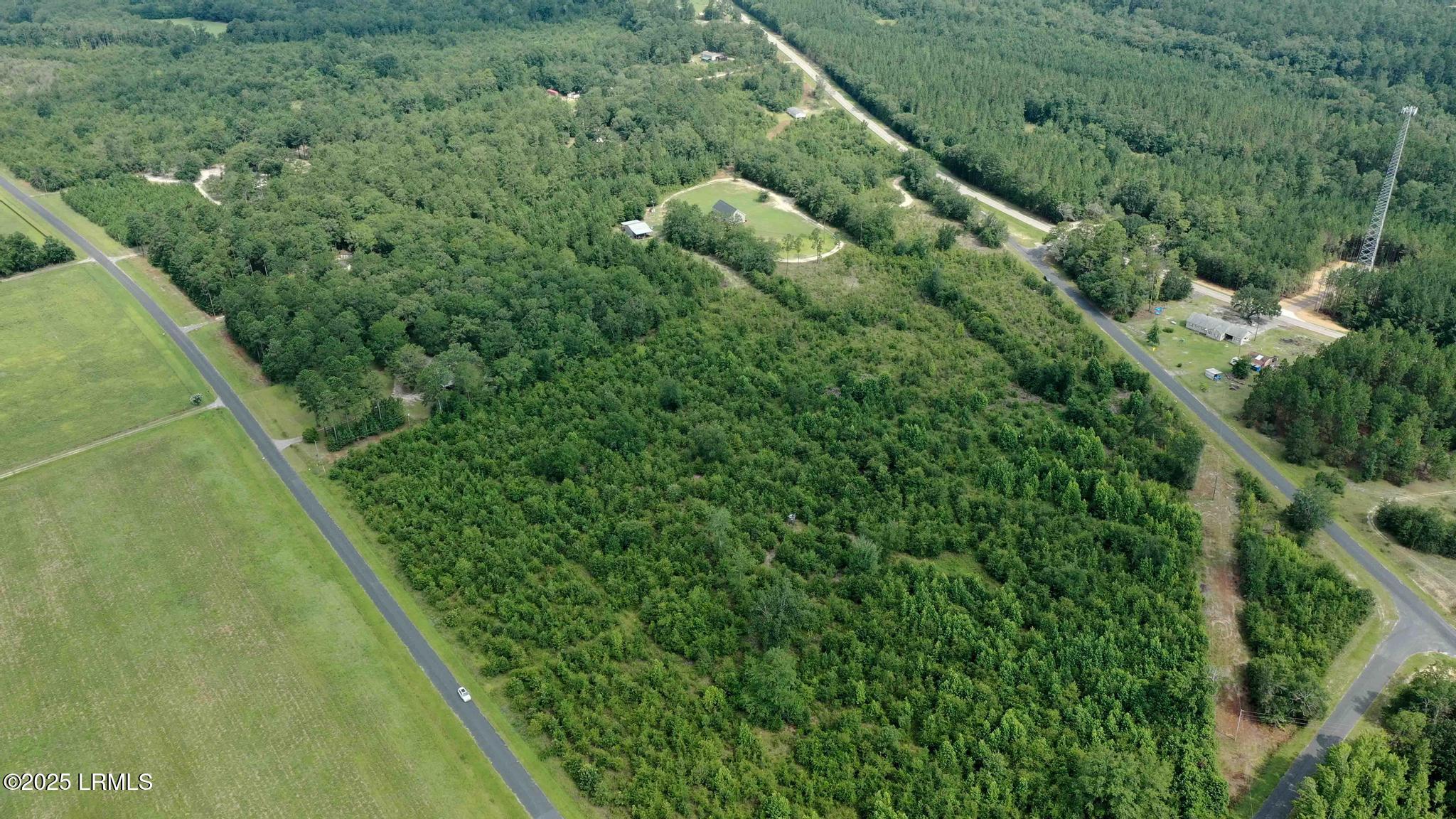 Tbd Mulberry Road Barnwell, SC 29812 - Photo 2 of 9 DJI_0765