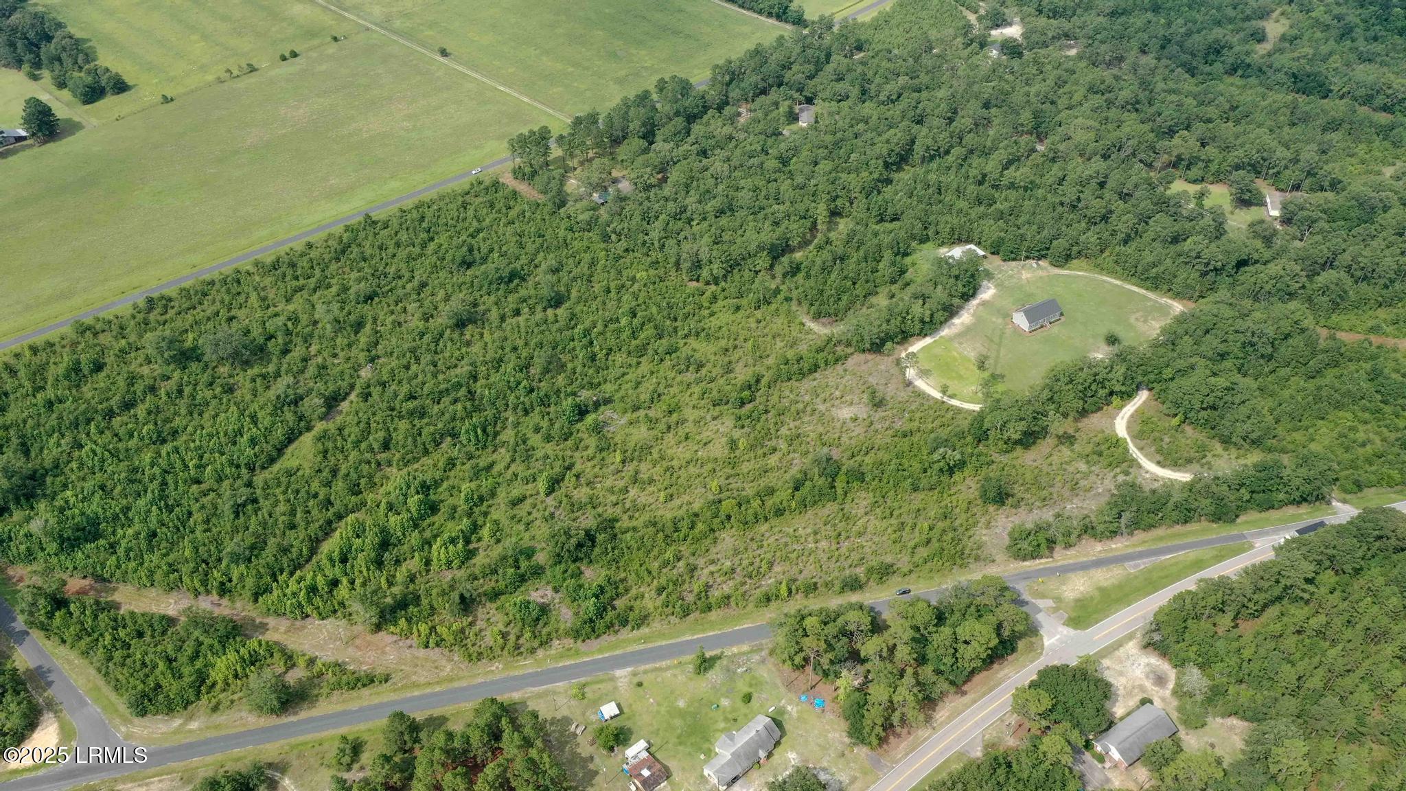 Tbd Mulberry Road Barnwell, SC 29812 - Photo 4 of 9 DJI_0761