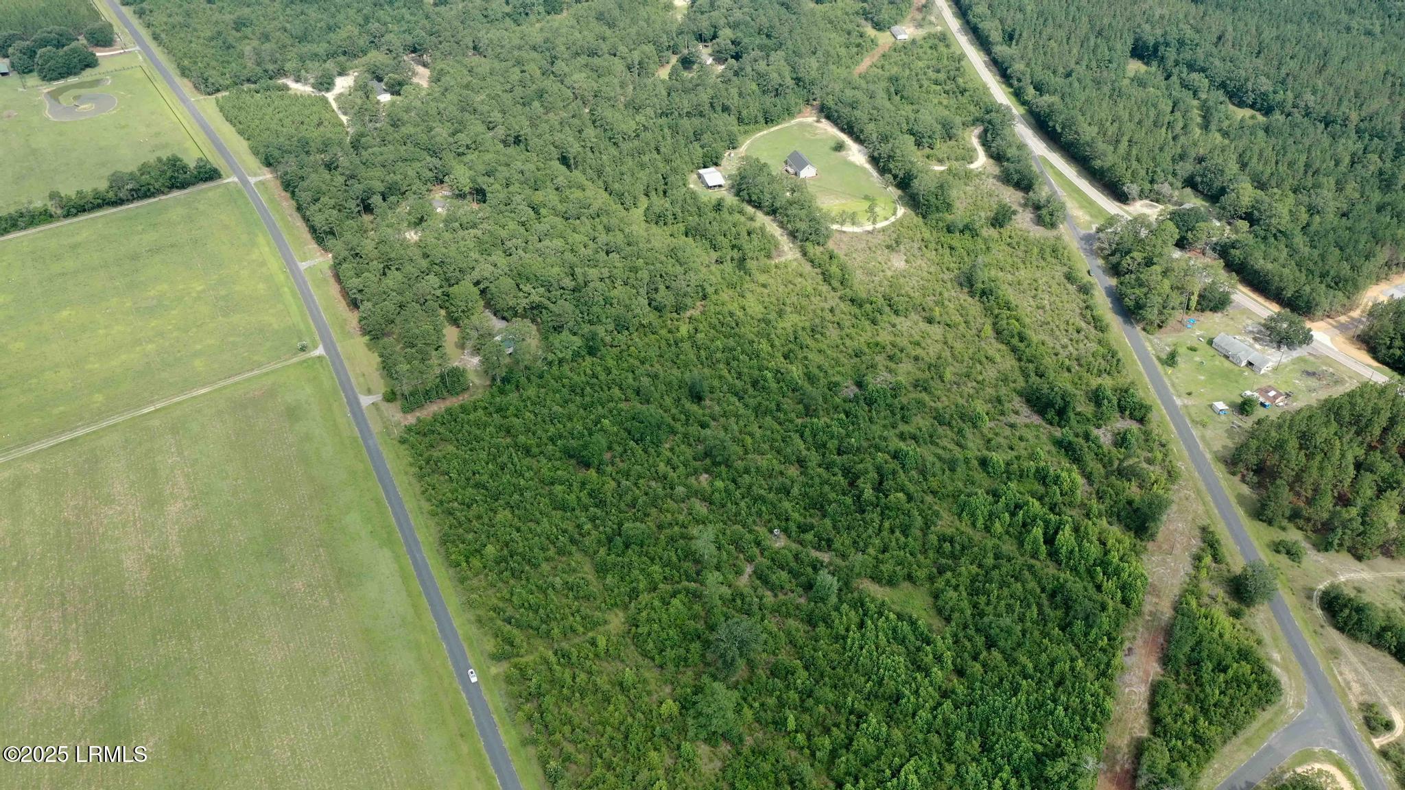 Tbd Mulberry Road Barnwell, SC 29812 - Photo 6 of 9 DJI_0764