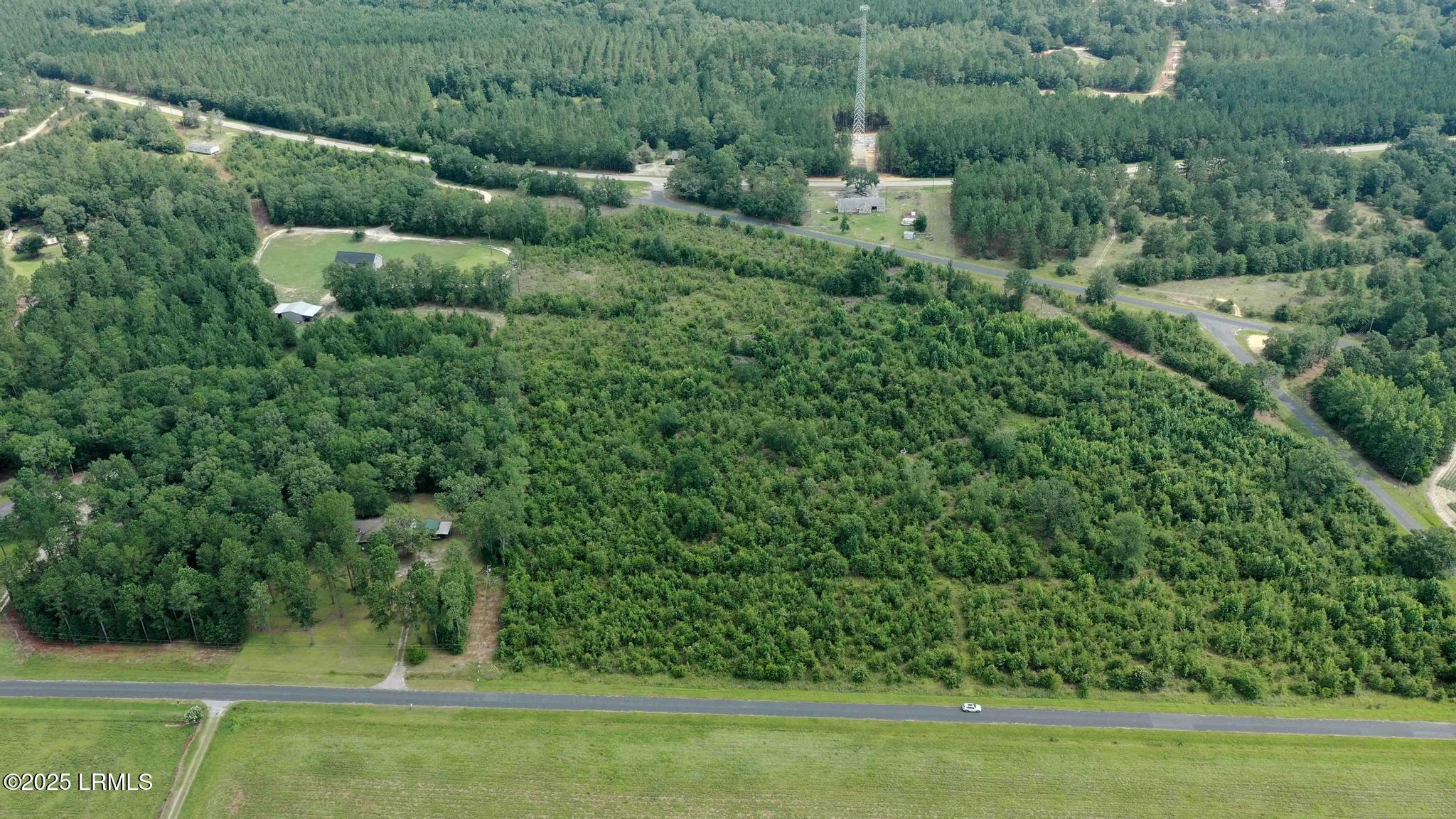 Tbd Mulberry Road Barnwell, SC 29812 - Photo 7 of 9 DJI_0766