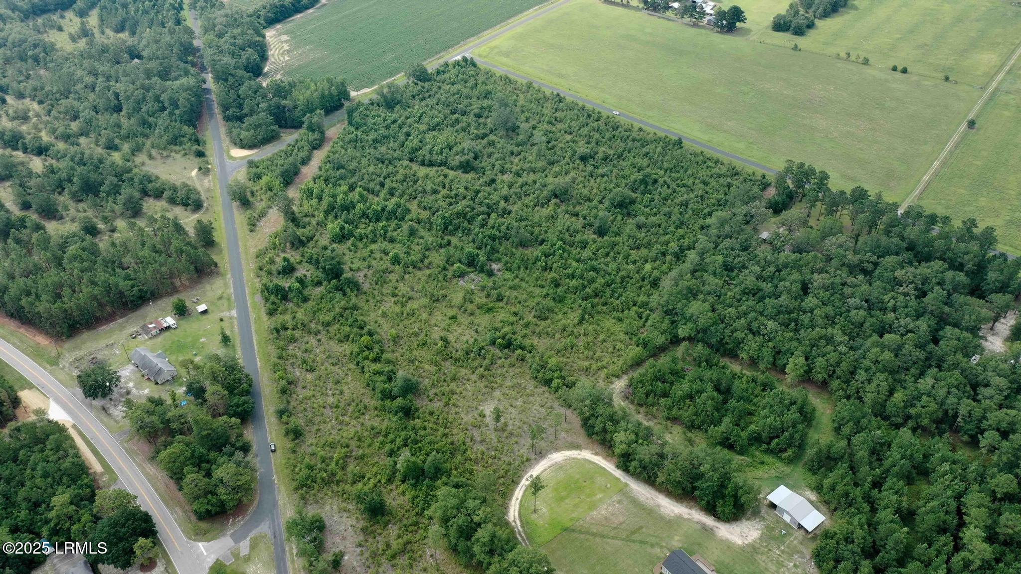 Tbd Mulberry Road Barnwell, SC 29812 - Photo 9 of 9 DJI_0770