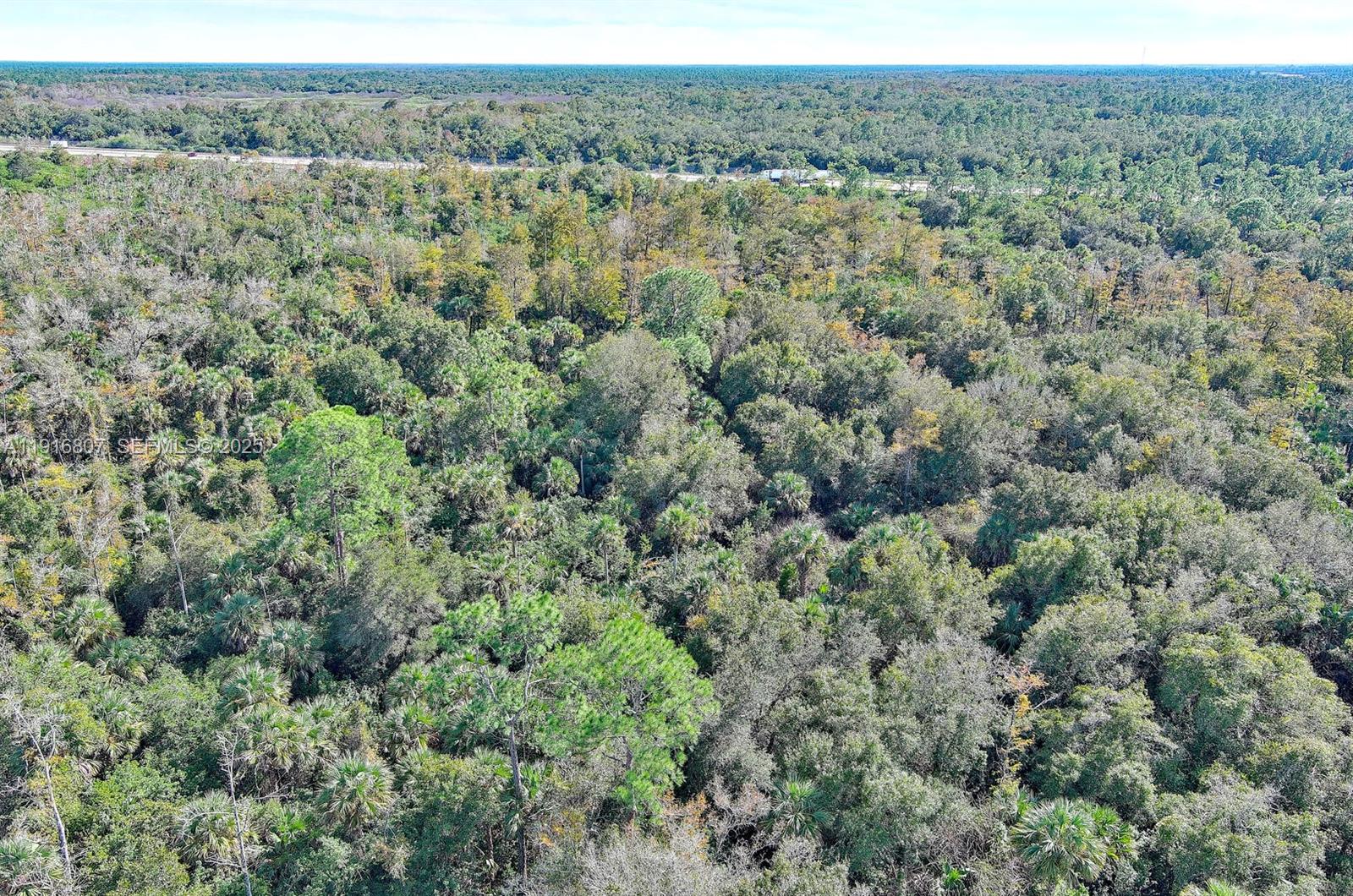 0 Alligator Alley Naples, FL 34117 - Photo 12 of 17 a view of a forest with a street