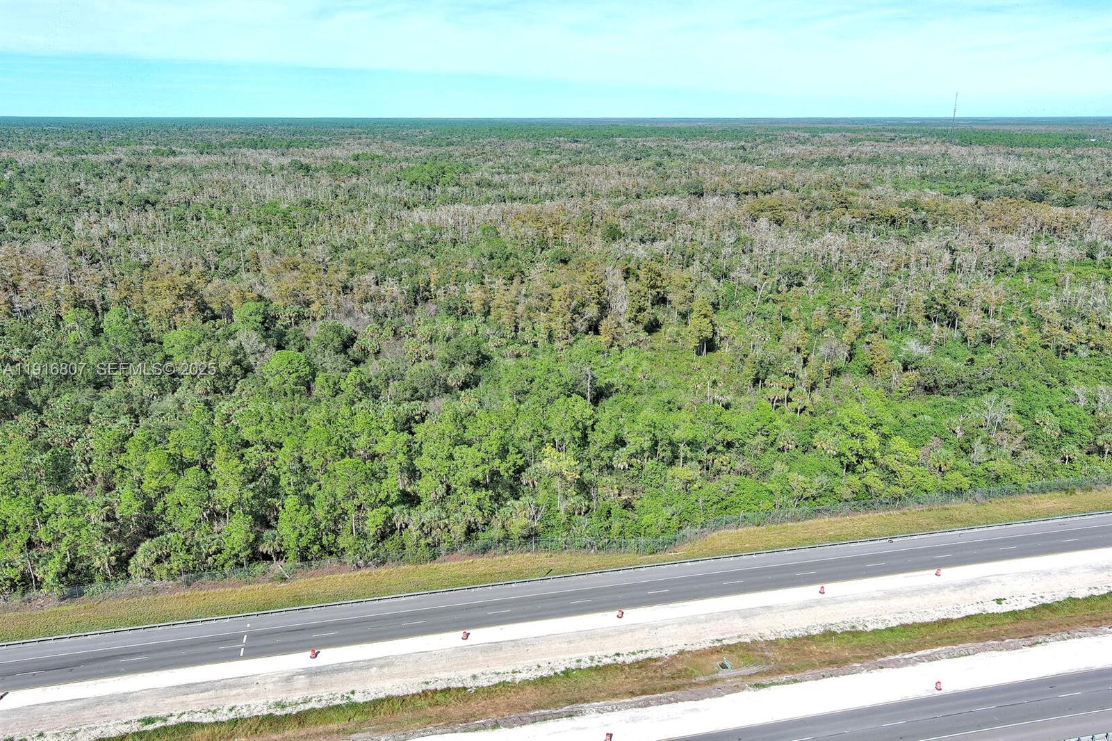 0 Alligator Alley Naples, FL 34117 - Photo 3 of 17 a view of a yard