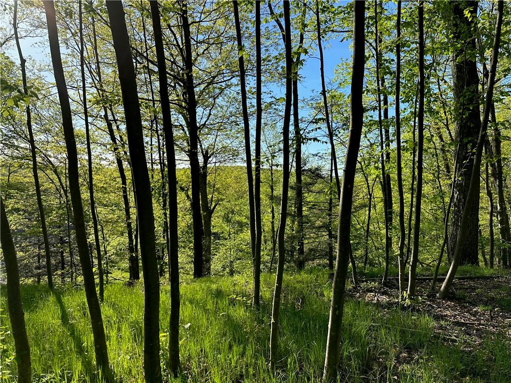 Milewood Road Millbrook, NY 12545 - Photo 1 of 1 Western Light