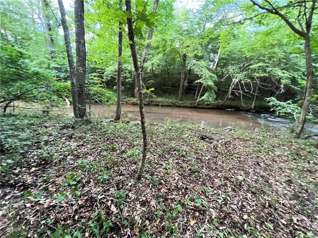 2957 Thompson Mill Road Decatur, GA 30034 - Photo 7 of 16