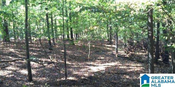 Jasmine Hill Road Pelham, AL 35124 - Photo 5 of 6