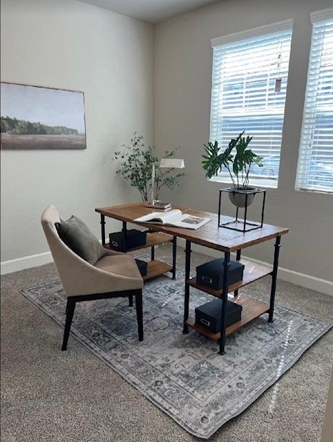 465 Bloom Lane Clovis, CA 93619 - Photo 6 of 16 a living room with furniture and a potted plant