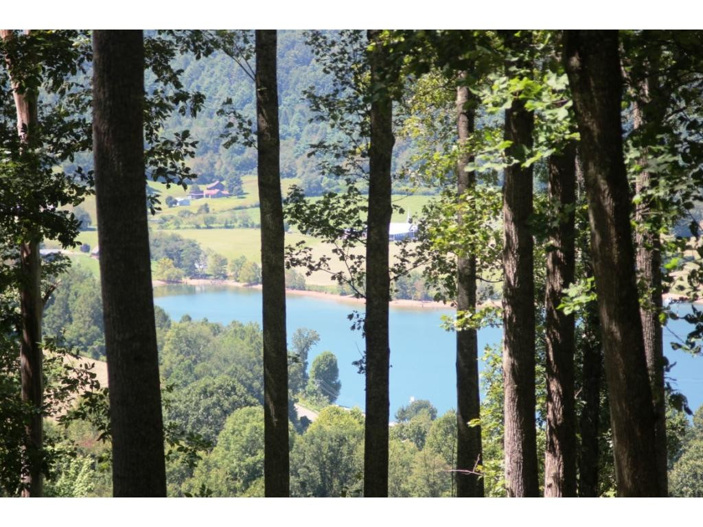 LAKE MOUNTAIN VIEWS