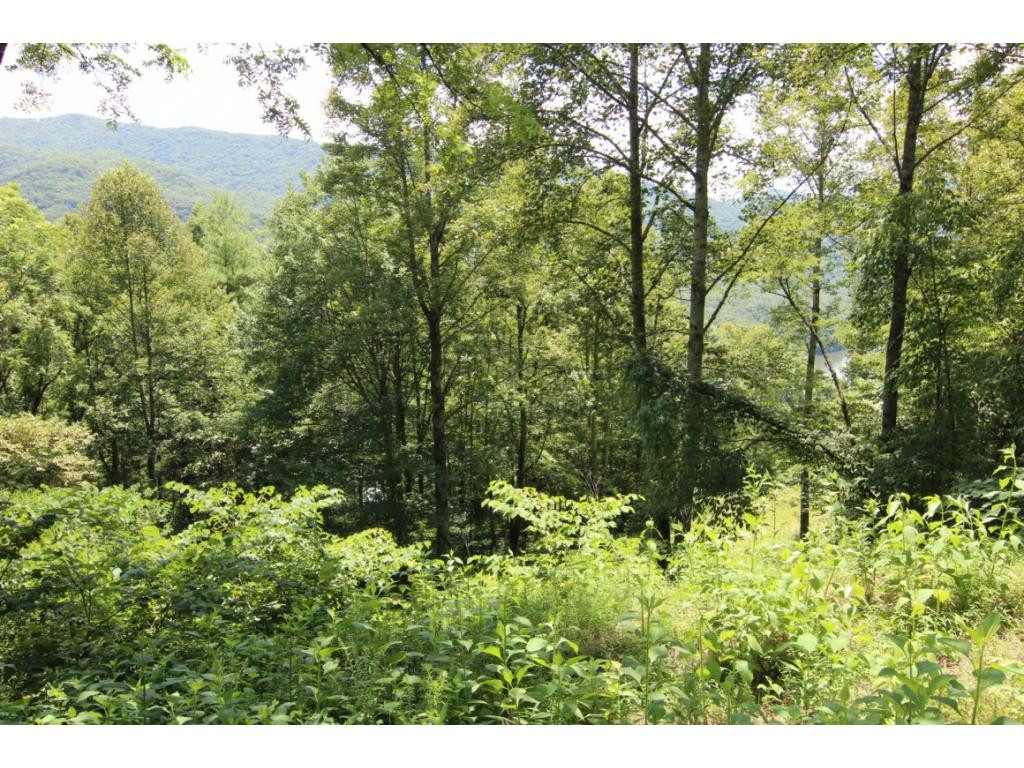 0 Draft Road, Unit 25 Butler, TN 37640 - Photo 2 of 8 LOTS OF TREES FOR PRIVACY