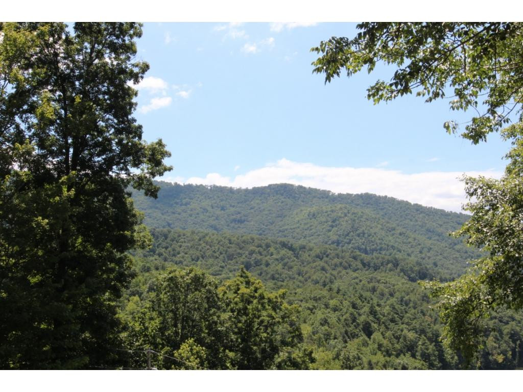 0 Draft Road, Unit 25 Butler, TN 37640 - Photo 3 of 8 MOUNTAIN VIEWS