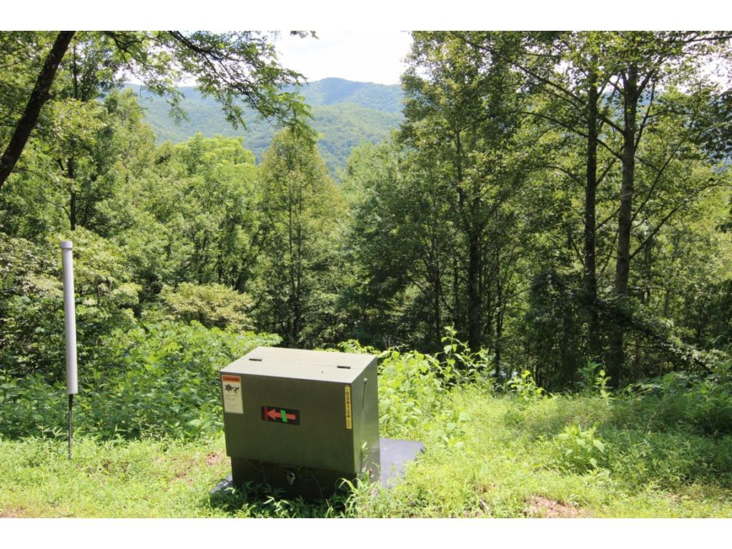 0 Draft Road, Unit 25 Butler, TN 37640 - Photo 4 of 8 WELL UNDERGROUND POWER