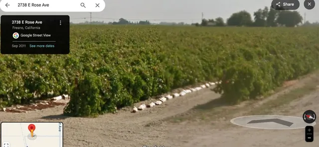 a view of a bench in a garden