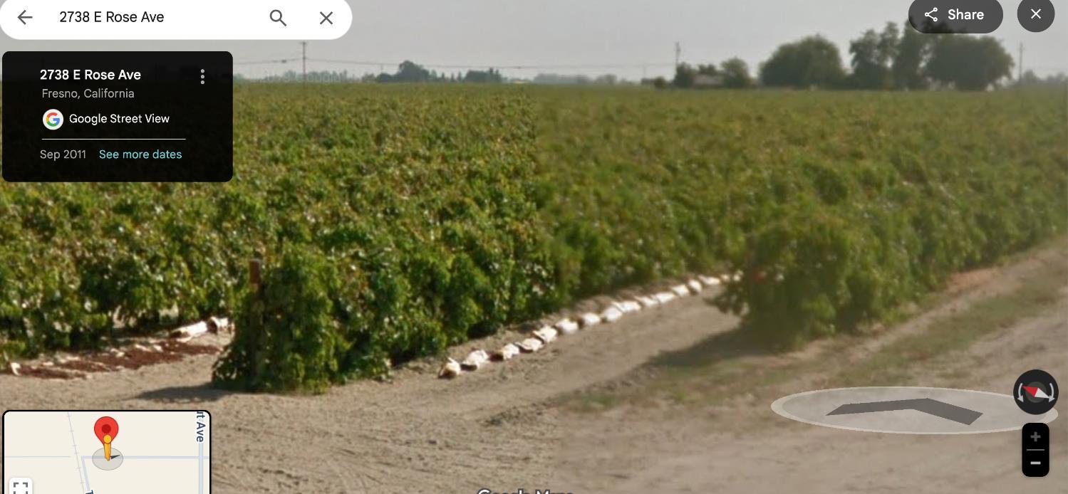 a view of a bench in a garden